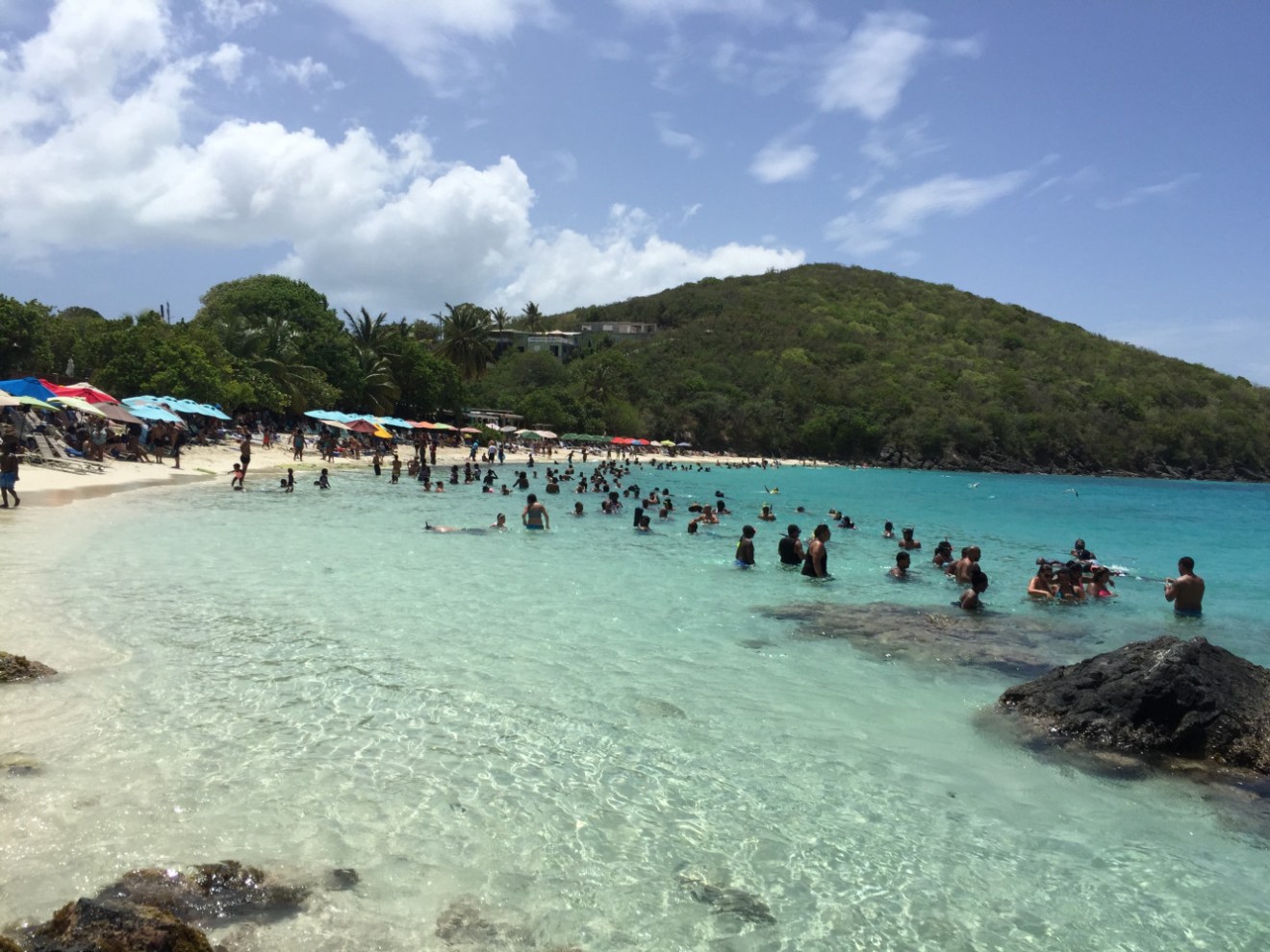 brenda franko coki point