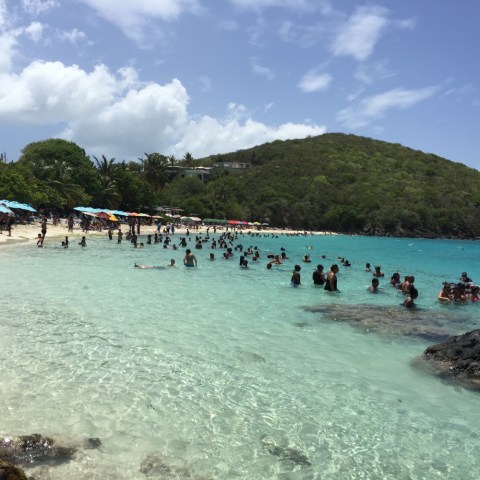 brenda franko coki point