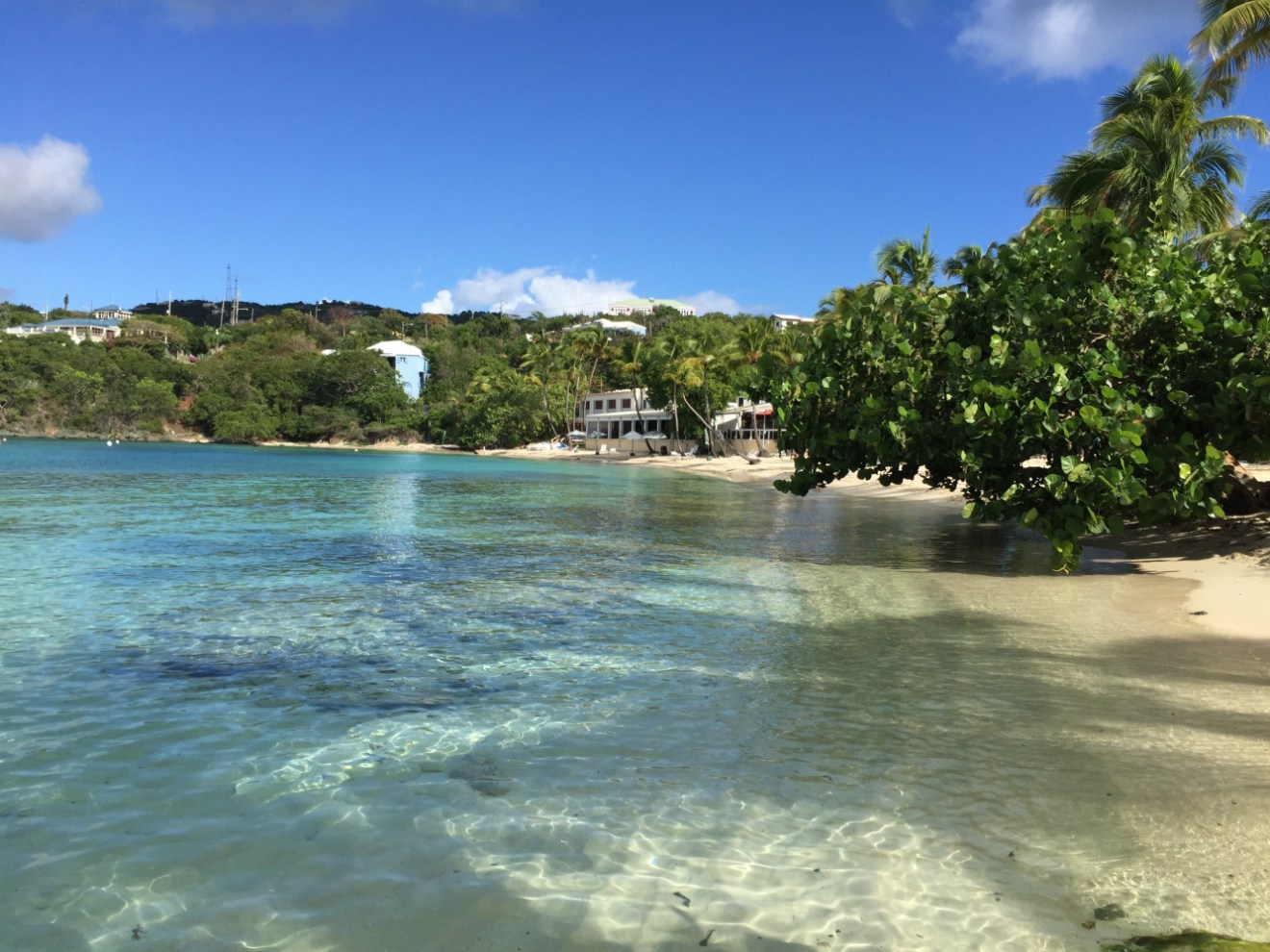 brenda franko secret harbour beach
