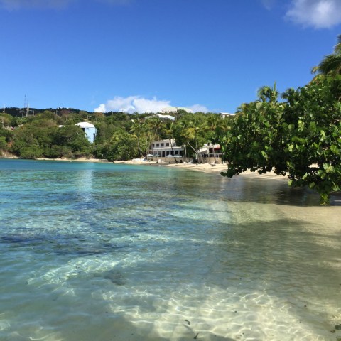 brenda franko secret harbour beach