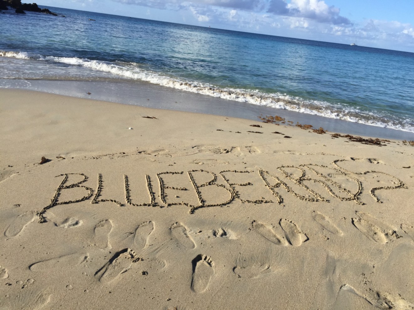 brenda frankos bluebeards beach