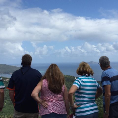 brenda frankos fun tours