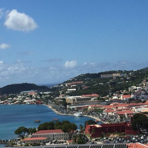 brenda frankos fun tours