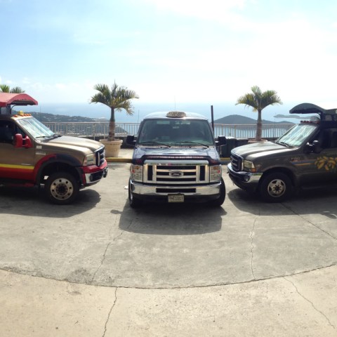 brenda frankos fun tours